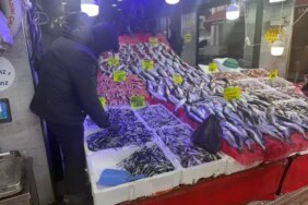 Samsun'da Hamsi Fiyatları 130-150 Lira