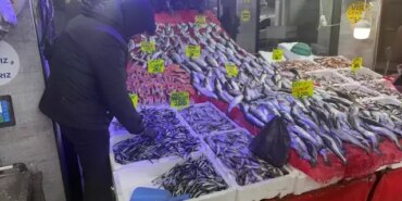 Samsun'da Hamsi Fiyatları 130-150 Lira