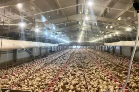 Samsun'da KKYDP Projeleri Tamamlandı - Son Dakika