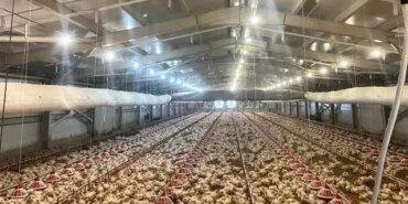 Samsun'da KKYDP Projeleri Tamamlandı - Son Dakika