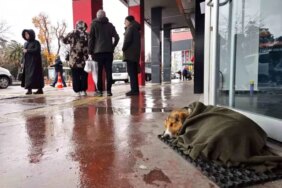 Samsun'da Sokak Köpeğine Şal Yardımı