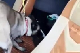 Samsun'da Uyuşturucu Operasyonu: 450 Gram Ele Geçirildi