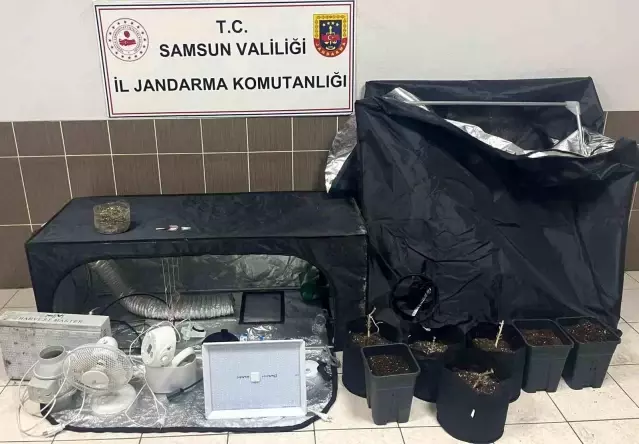 Samsun'da Uyuşturucu Operasyonu - Son Dakika