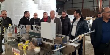 Bafra'ya Turşu Fabrikası Projesi - Son Dakika