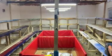 Horoz Dövüşüne 1 Milyon Lira Ceza