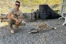 Polisler, Barut İsimli Tilkilerine Bağlılık Geliştirdi