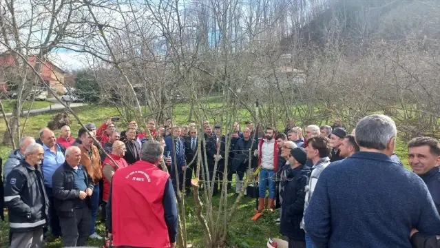 Samsun'da Fındık Yetiştiriciliği Toplantısı - Son Dakika