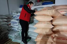 Samsun'da Gübre Bayilerine Denetim - Son Dakika