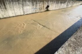 Samsun'da Kağıt Toplayıcısının Cansız Bedeni Bulundu