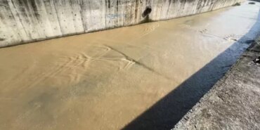 Samsun'da Kağıt Toplayıcısının Cansız Bedeni Bulundu