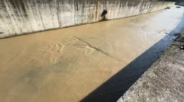 Samsun'da Kağıt Toplayıcısının Cansız Bedeni Bulundu