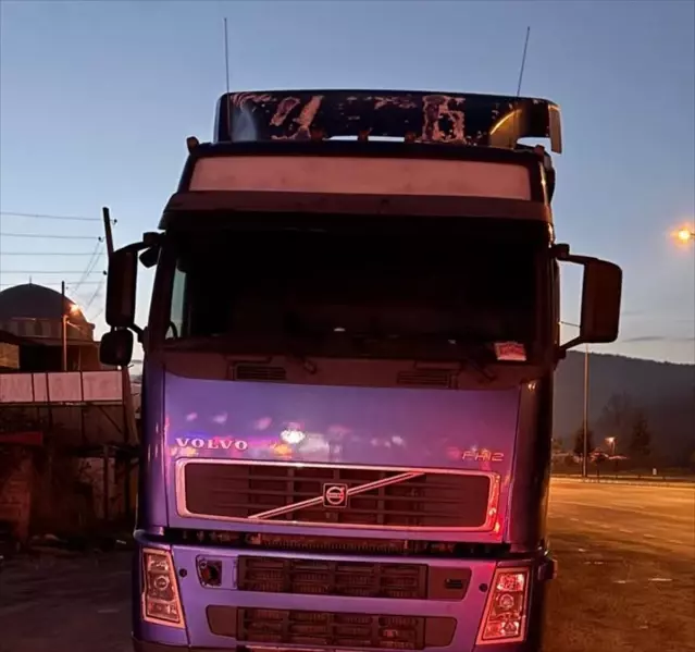 Samsun'da Tır Sürücüsüne Ceza - Son Dakika