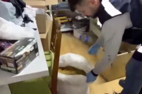 Samsun'da Tütün Kaçakçılığı Operasyonu - Son Dakika