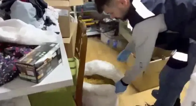 Samsun'da Tütün Kaçakçılığı Operasyonu - Son Dakika