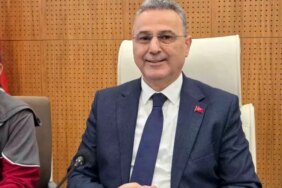 Samsun'da konteynerde bulunan 9 köpekle ilgili rapor açıklandı: 'Doğal ölüm'