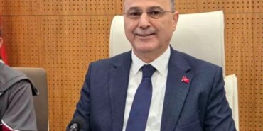 Samsun'da konteynerde bulunan 9 köpekle ilgili rapor açıklandı: 'Doğal ölüm'