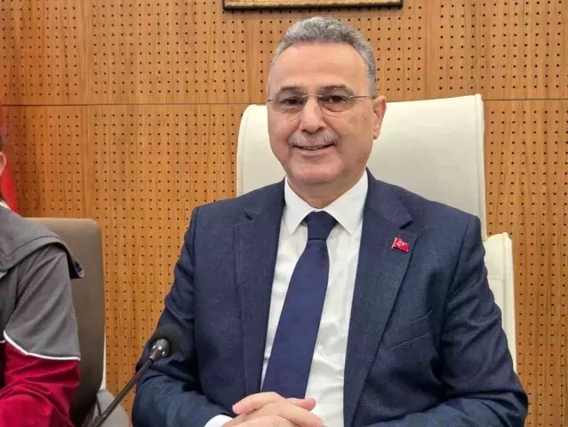 Samsun'da konteynerde bulunan 9 köpekle ilgili rapor açıklandı: 'Doğal ölüm'