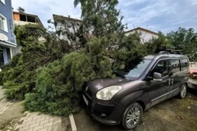Şiddetli Rüzgar Ağaçları Devriltip Araçlara Zarar Verdi