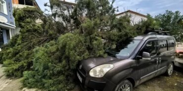 Şiddetli Rüzgar Ağaçları Devriltip Araçlara Zarar Verdi