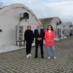 Terme'de Kadın Girişimciler İstiridye Mantarı Üretiyor