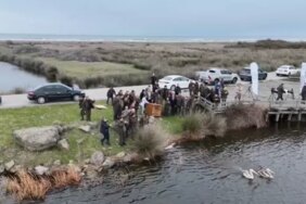 Yaralı Pelikanlar Doğaya Salındı - Son Dakika