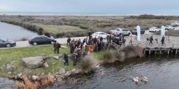 Yaralı Pelikanlar Doğaya Salındı - Son Dakika