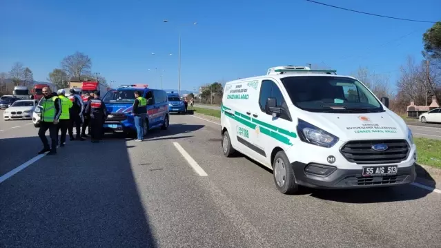 Yaya Çarpması: 70 Yaşındaki Adam Hayatını Kaybetti