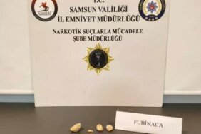 Samsun'da Uyuşturucu Operasyonu - Son Dakika