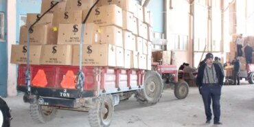 Bafra'da Tütün Alımı Devam Ediyor