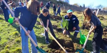 Fidanlar Toprakla Buluştu - Son Dakika