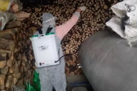 Kahverengi Kokarca ile Mücadele Başladı