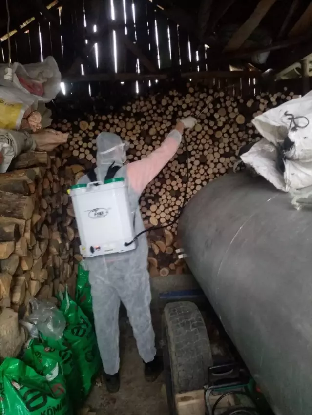 Kahverengi Kokarca ile Mücadele Başladı