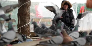 Kemal Amca'nın Kuş Sevgisi - Son Dakika