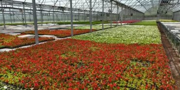 Samsun'da Atık Yönetimi ve Enerji Üretimi