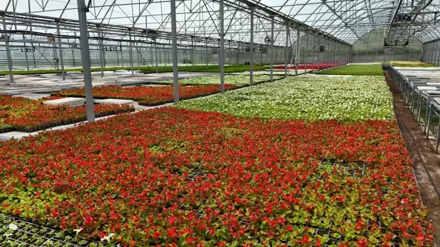 Samsun'da Atık Yönetimi ve Enerji Üretimi