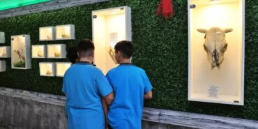 Samsun'da Doğa Müzesi Açıldı - Son Dakika