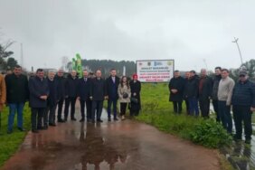 Samsun'da Fidan Dikim Etkinliği - Son Dakika