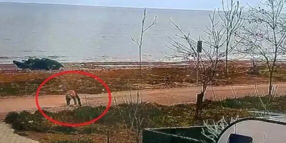 Samsun'da Hükümlü Kaçarken Yakalandı - Son Dakika