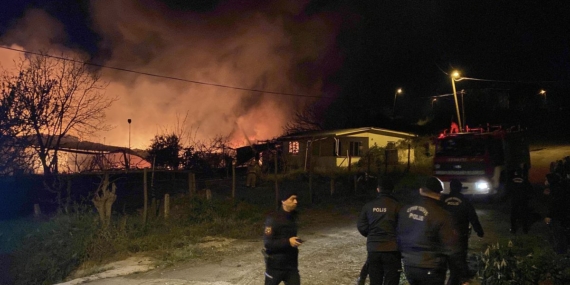 Samsun'da Meyve Deposunda Yangın - Son Dakika