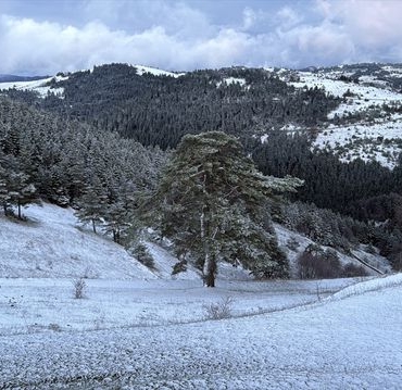 Alaçam'da Nisan Ayında Kar Yağışı