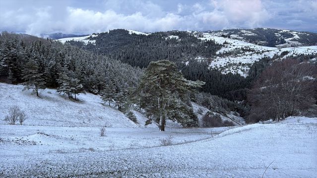 Alaçam'da Nisan Ayında Kar Yağışı