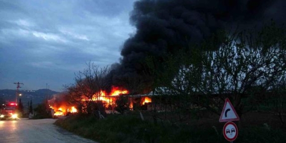 Atakum'da Meyve Deposunda Yangın - Son Dakika