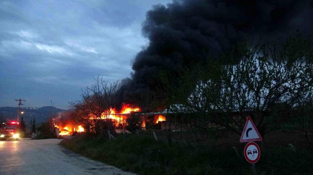 Atakum'da Meyve Deposunda Yangın - Son Dakika