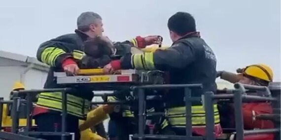 Bafra'da İşçi Düşerek Yaralandı - Son Dakika