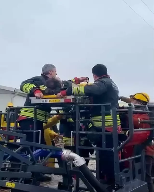 Bafra'da İşçi Düşerek Yaralandı - Son Dakika