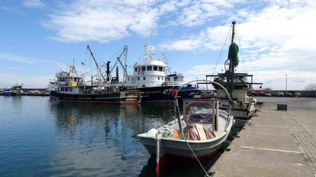 Balık Av Sezonu Kapanıyor, Bolluk Yaşandı