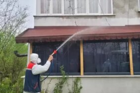 Kahverengi Kokarca Mücadelesi Devam Ediyor