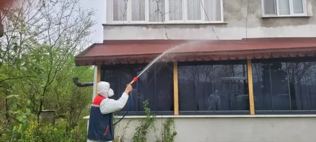 Kahverengi Kokarca Mücadelesi Devam Ediyor