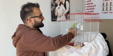 Kediler, Kuşlara Pusu Kurdu! - Son Dakika