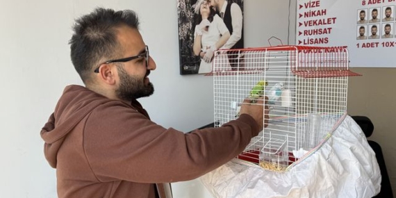 Kediler, Kuşlara Pusu Kurdu! - Son Dakika